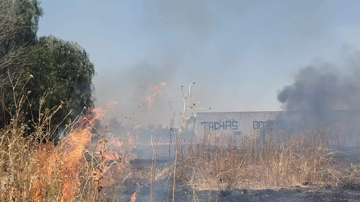Arde pastizal cerca de zona habitada en Irapuato