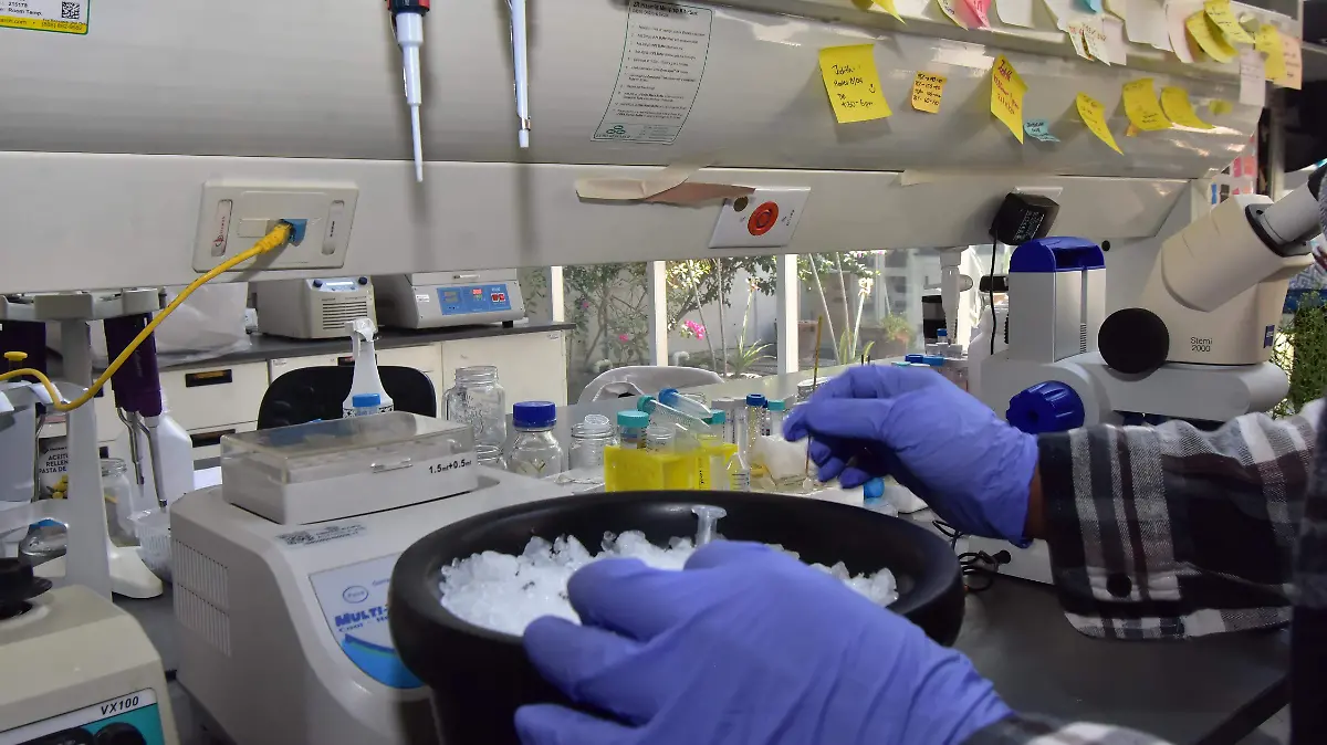 Entrevista Luis Herrera Estrella