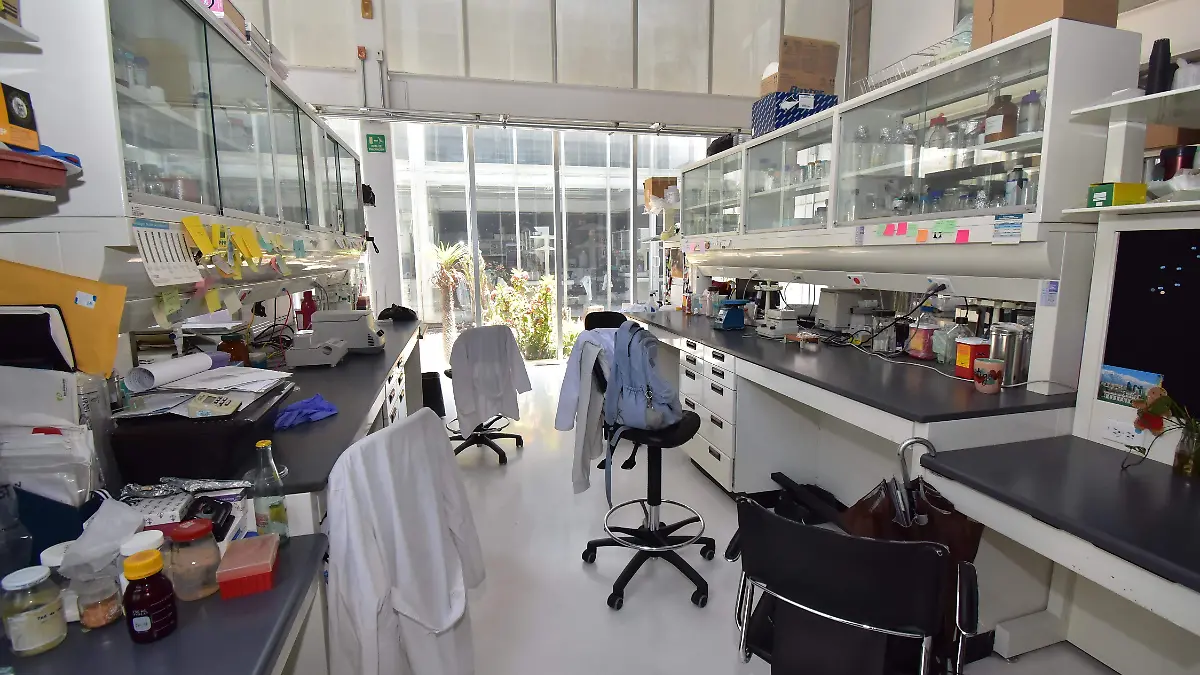 Entrevista Luis Herrera Estrella