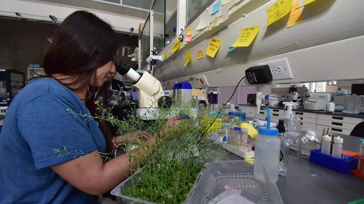 Entrevista Luis Herrera Estrella