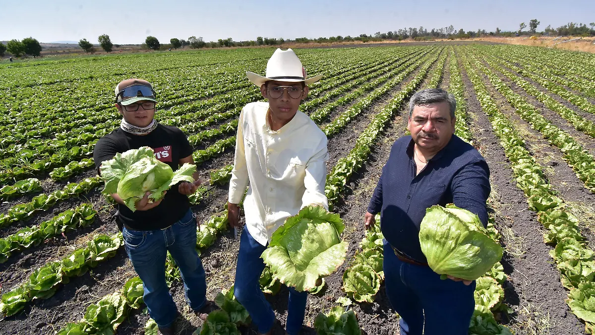 LECHUGA DICIVA.- Ricardo Sanchez.- El Sol de Irapuato (4)
