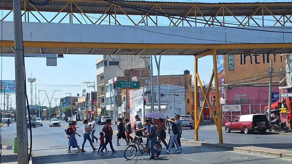 Puente Peatonales (1)