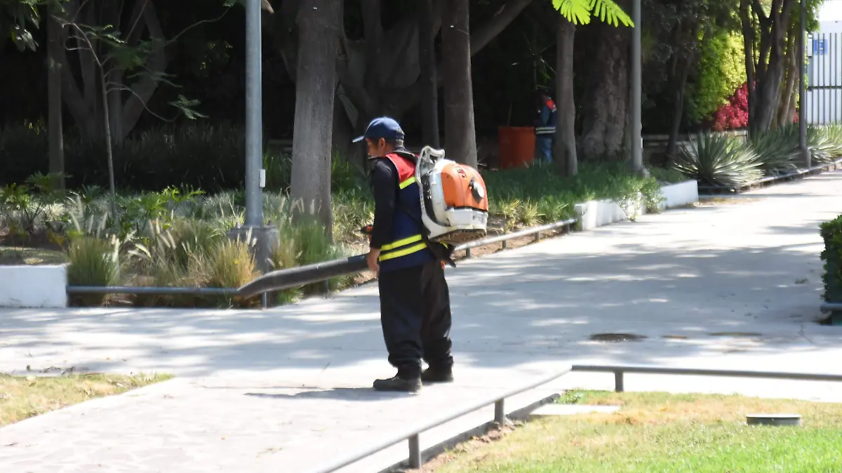 Obelisco del Parque Irekua