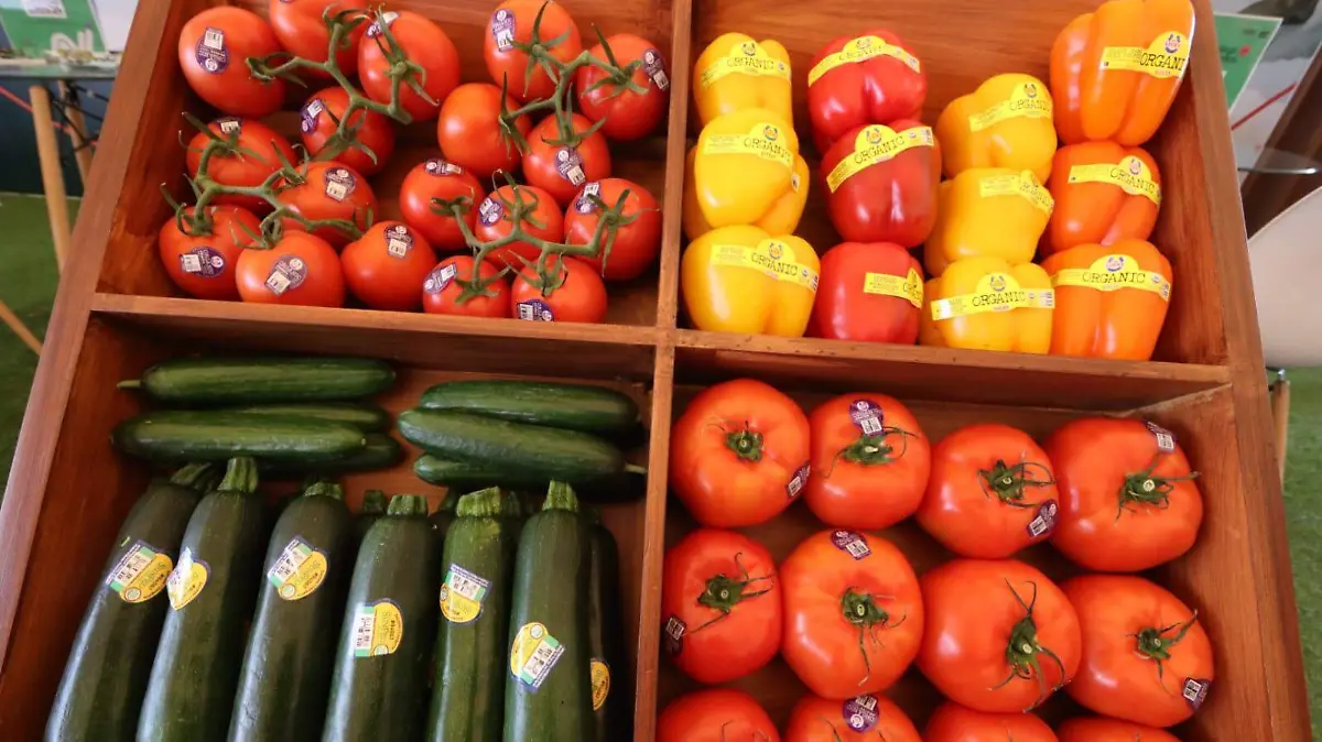 foroagricultura