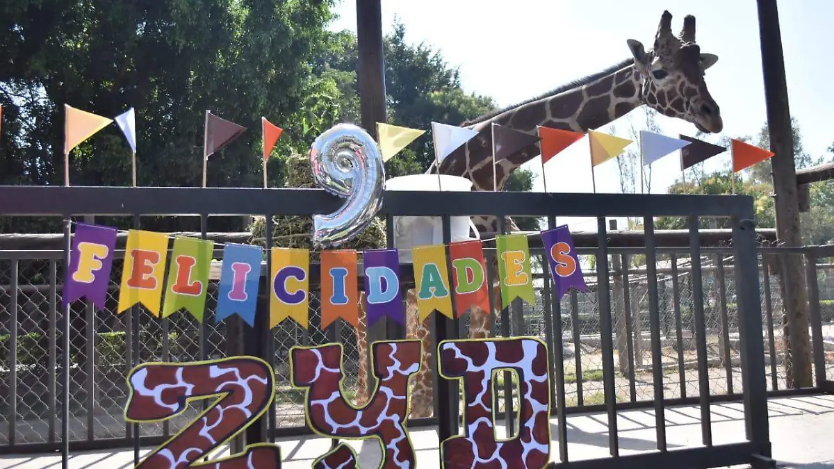 c4420ca9-09b8-41f1-a2fd-056f7f0d1c4a