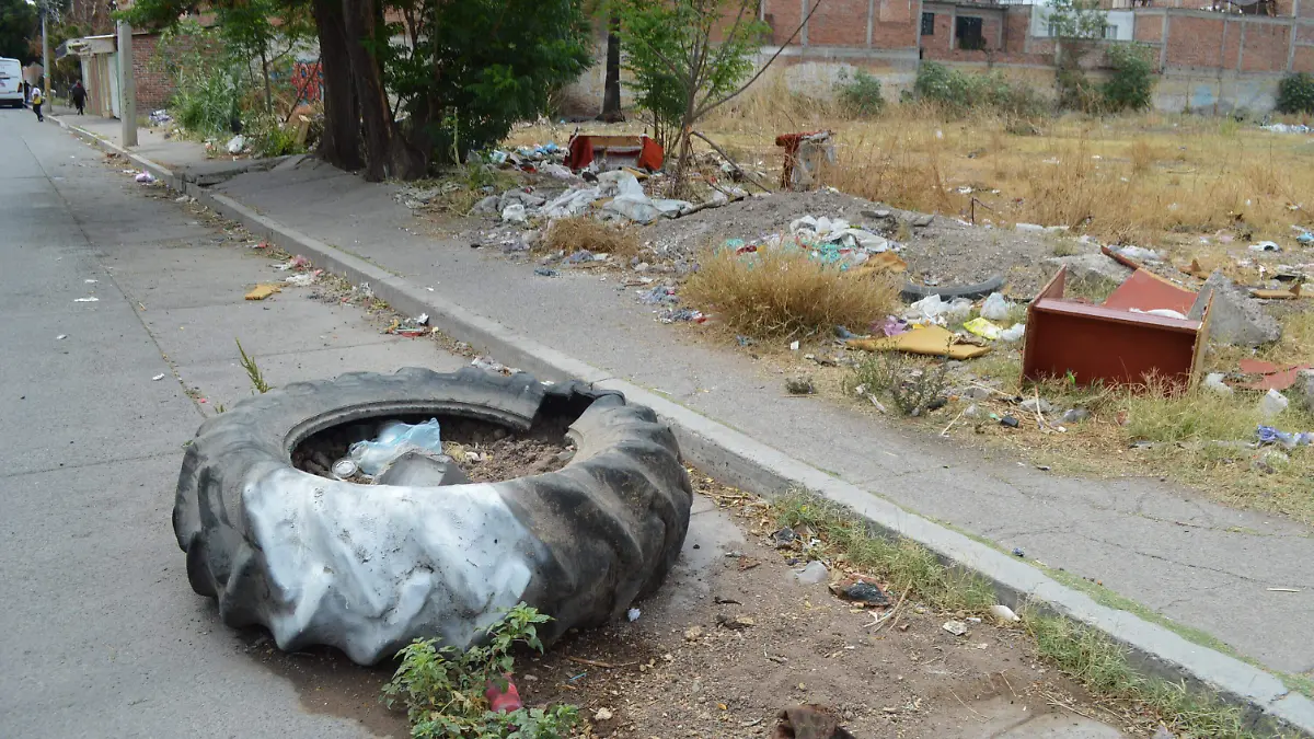 Basura Monte Parnaso (2)