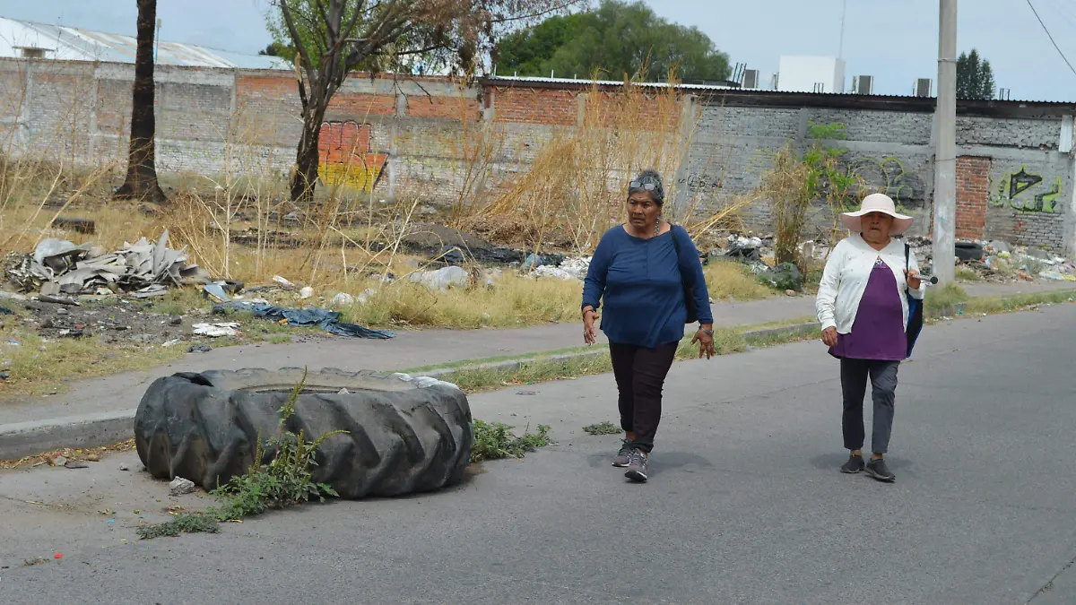 Basura Monte Parnaso