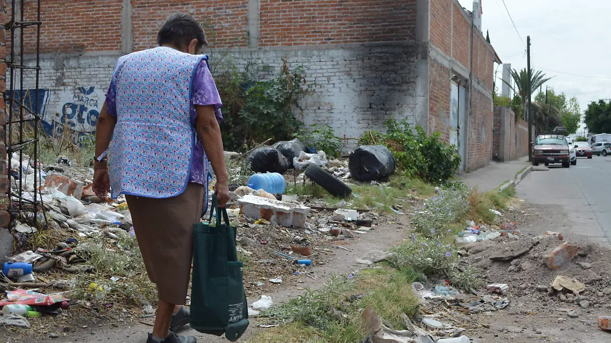 Basura Monte Parnaso