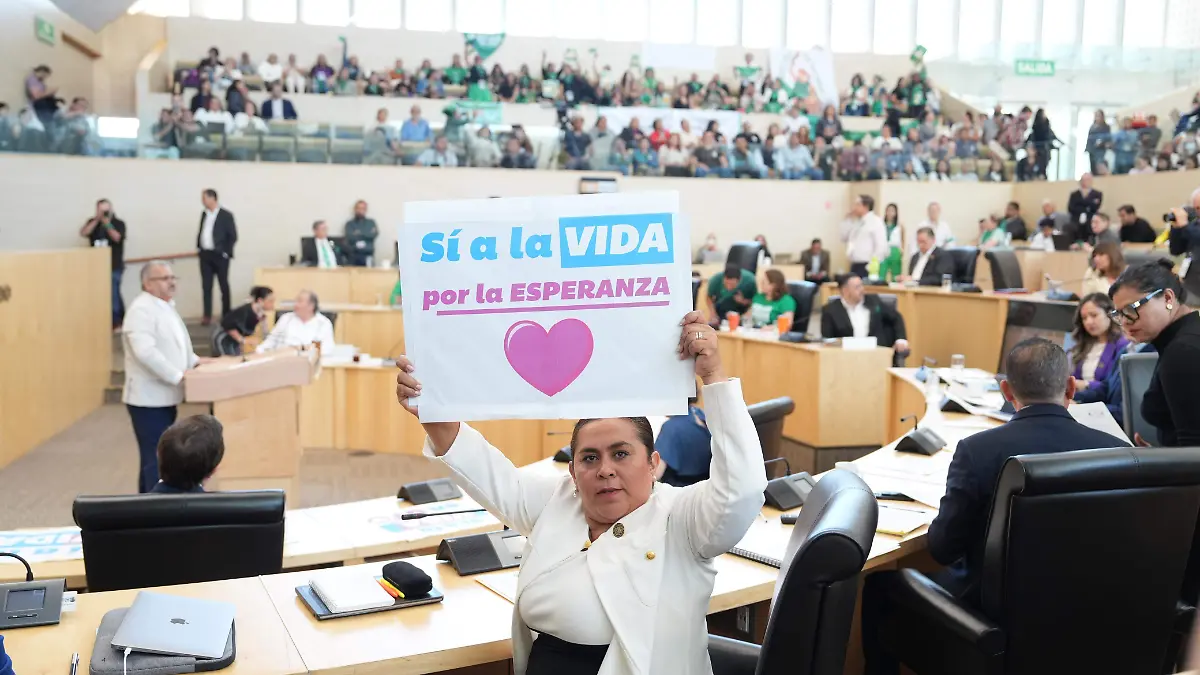 Las-diputadas