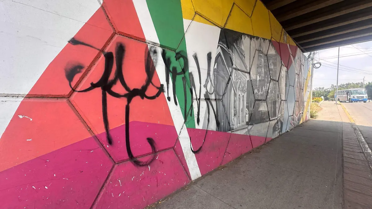 Vandalismo da mala imagen al puente vehicular de acceso a colonia Las Carmelitas (1)