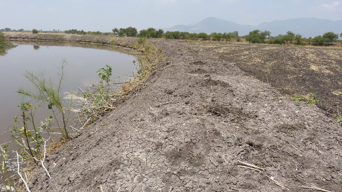 Más-de-6-kilómetros