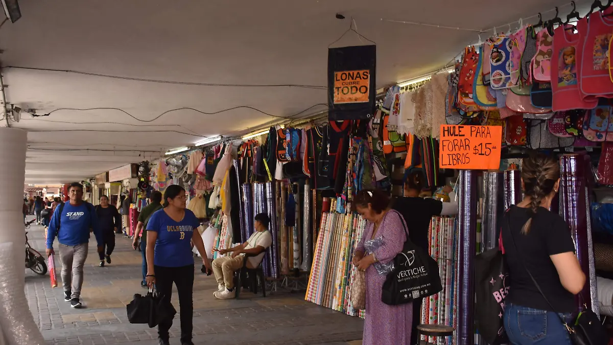 Comercio en Irapuato