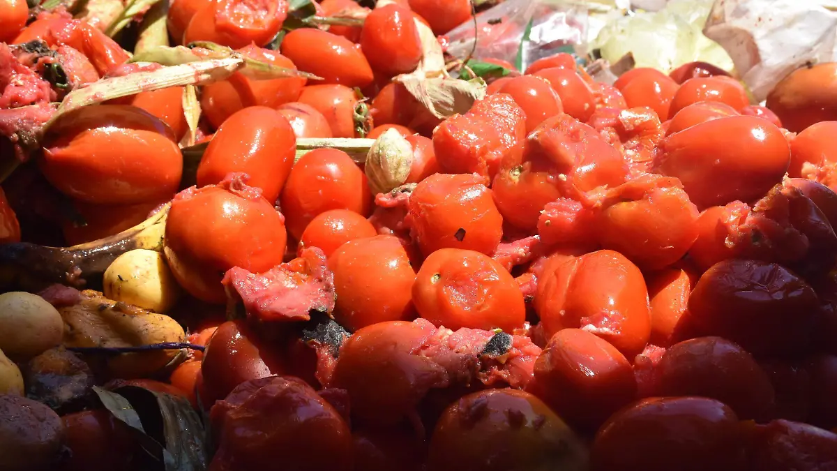 alimentos_0