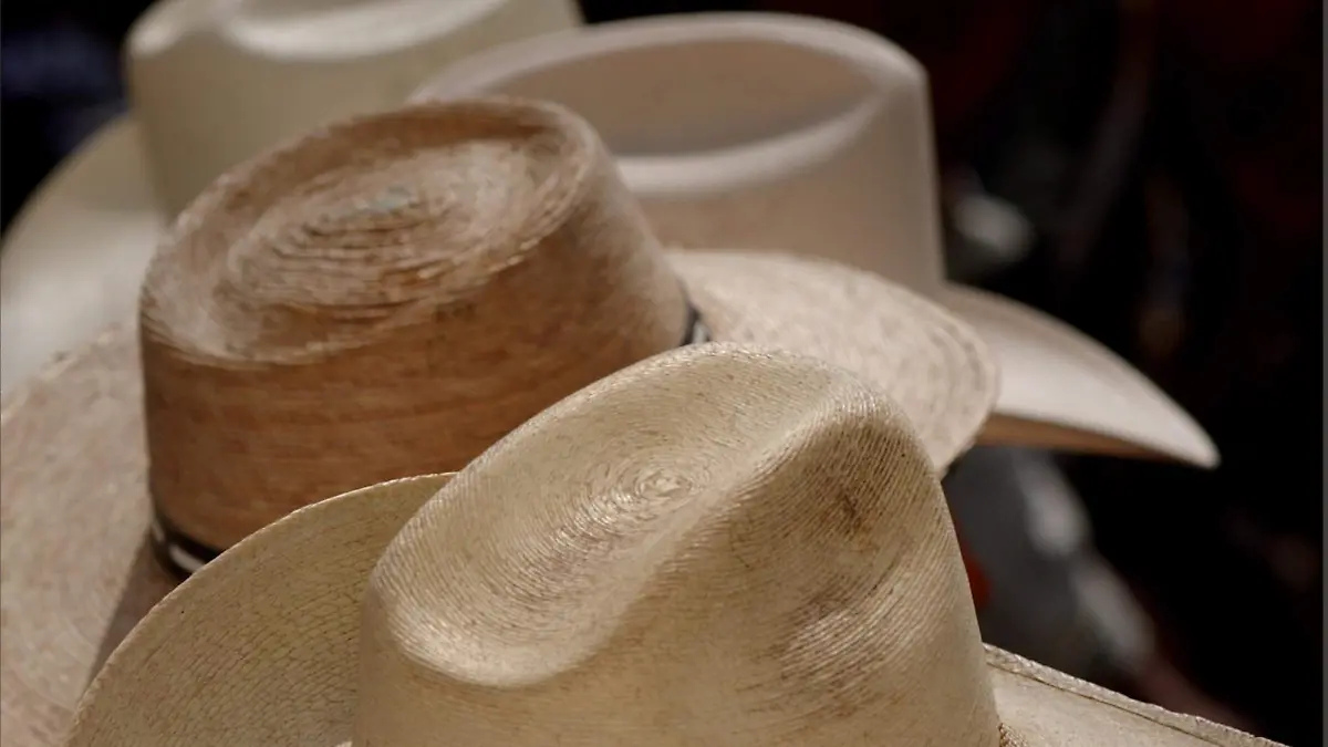 Braceros de Guanajuato