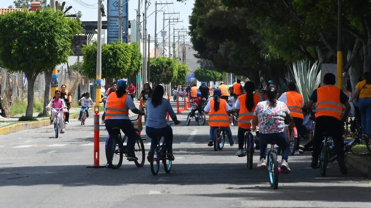 Impato Educativo ciclismo (1)