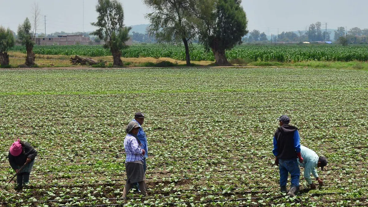 Durante-los-últimos-días