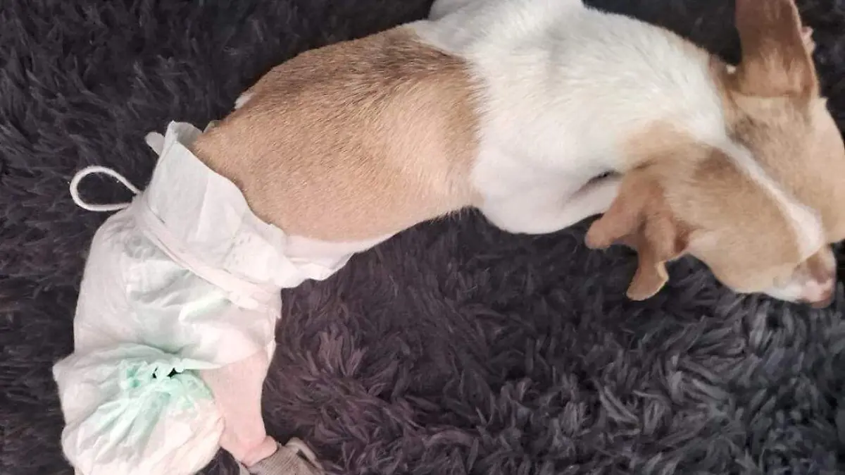 Rescatar con el alma