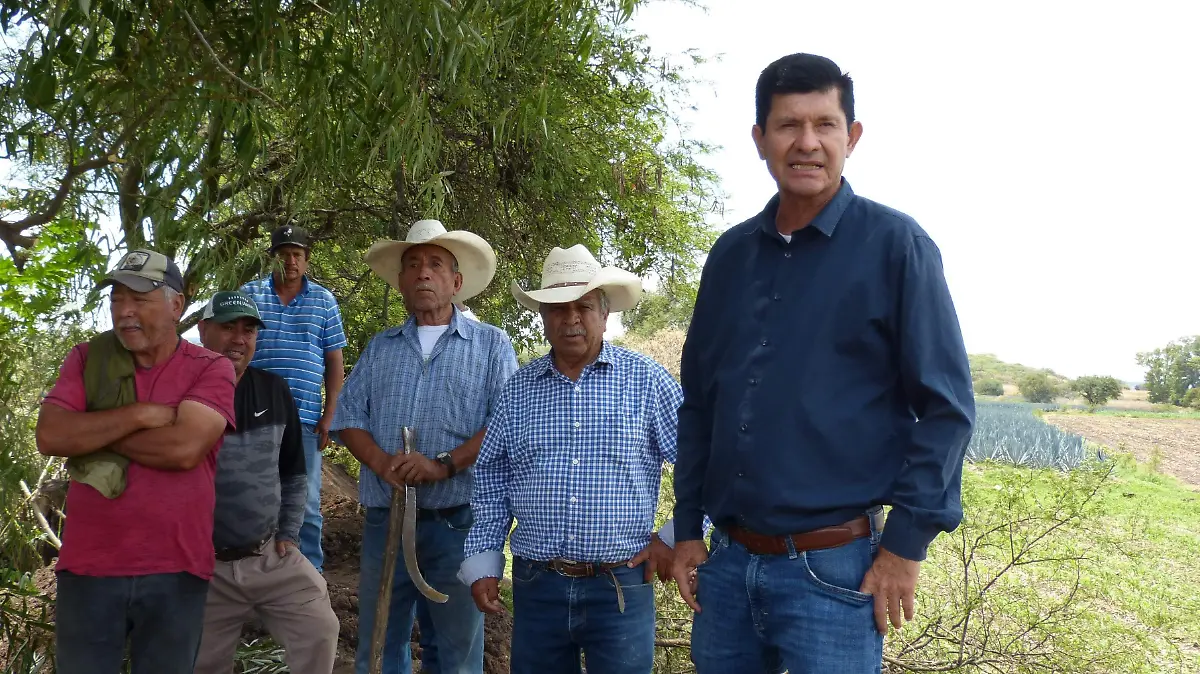 Le seguimos cumpliendo.