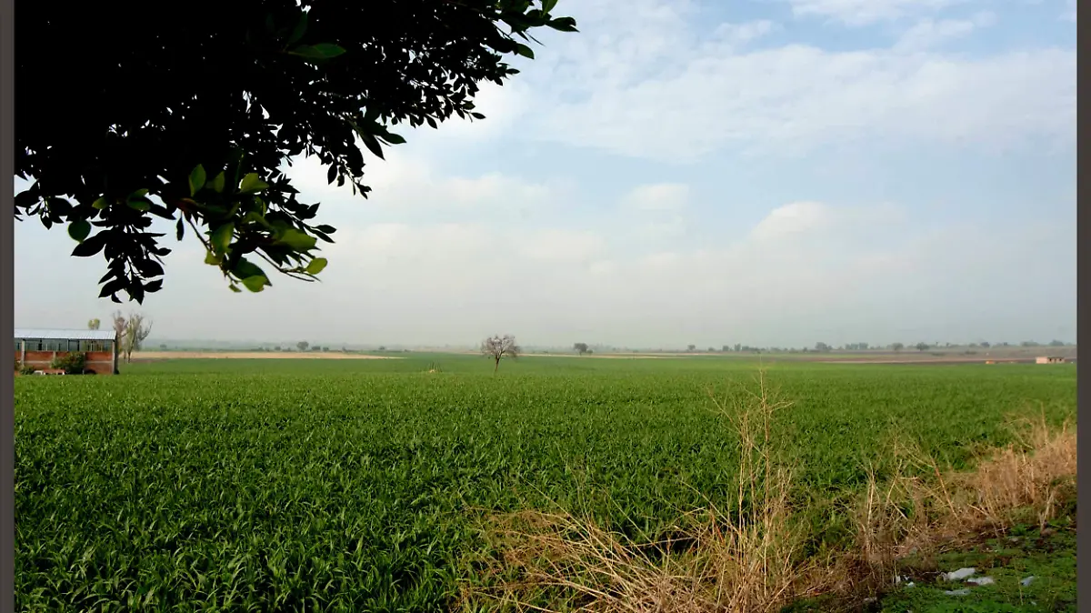 Bordos alcanzan 65% de su capacidad gracias a las lluvias en Irapuato