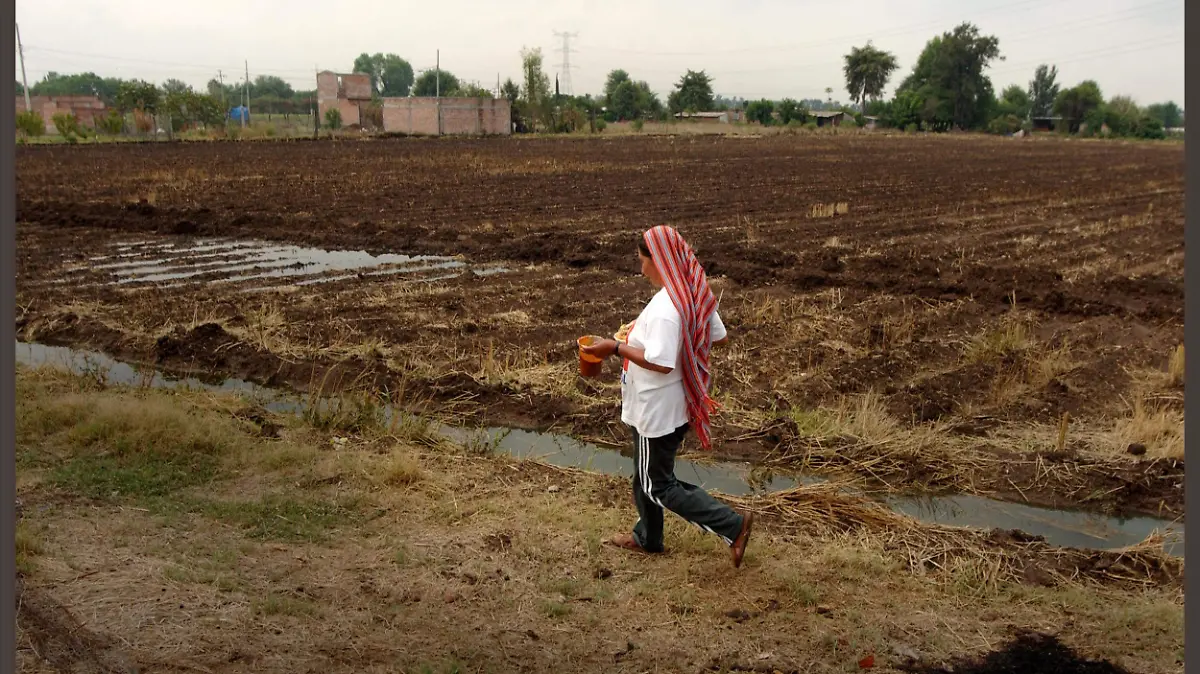 Bordos alcanzan 65% de su capacidad gracias a las lluvias en Irapuato