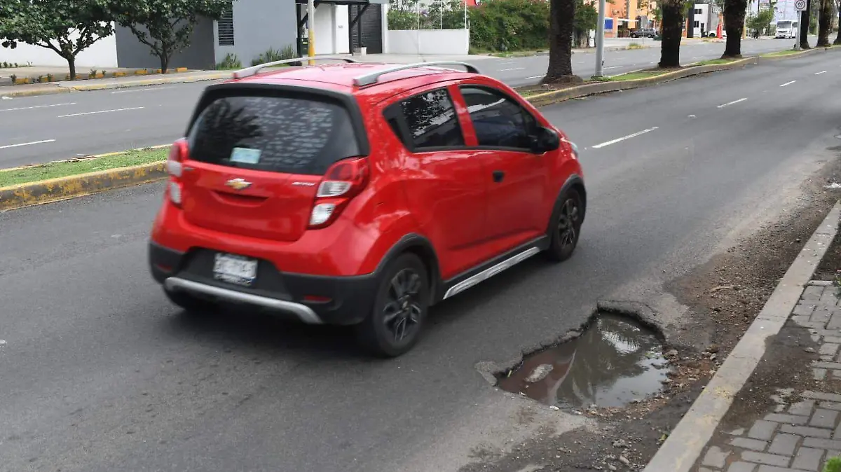 Bache 1 (1)