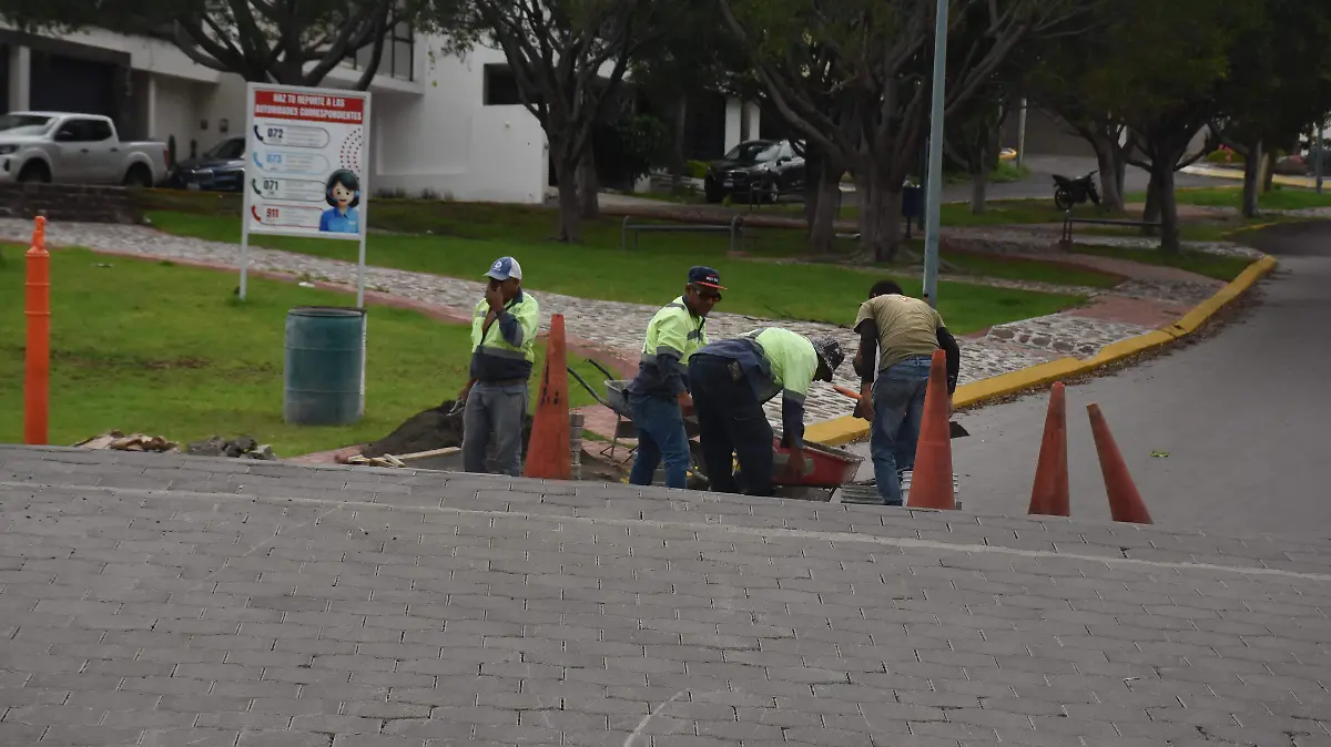 Baches (5)