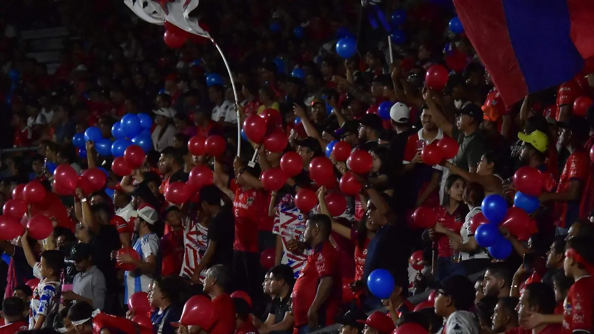 LA AFICION