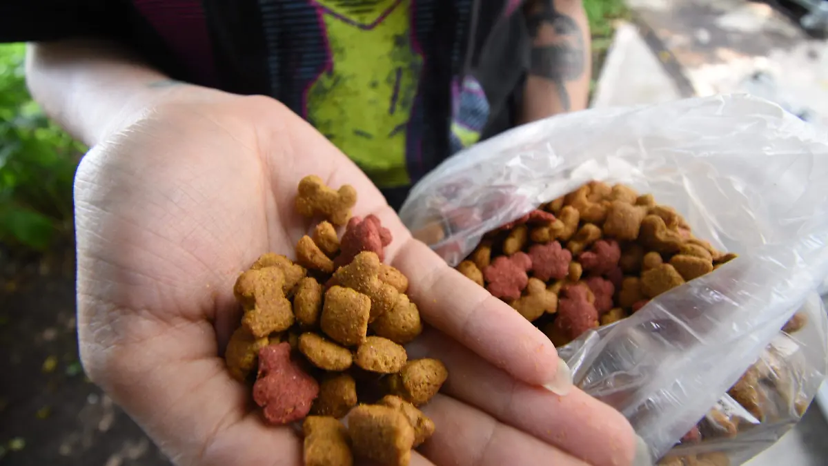 Croqueton alimento pra perros, Jesus Gutierres El Sol de Irapuato (1)