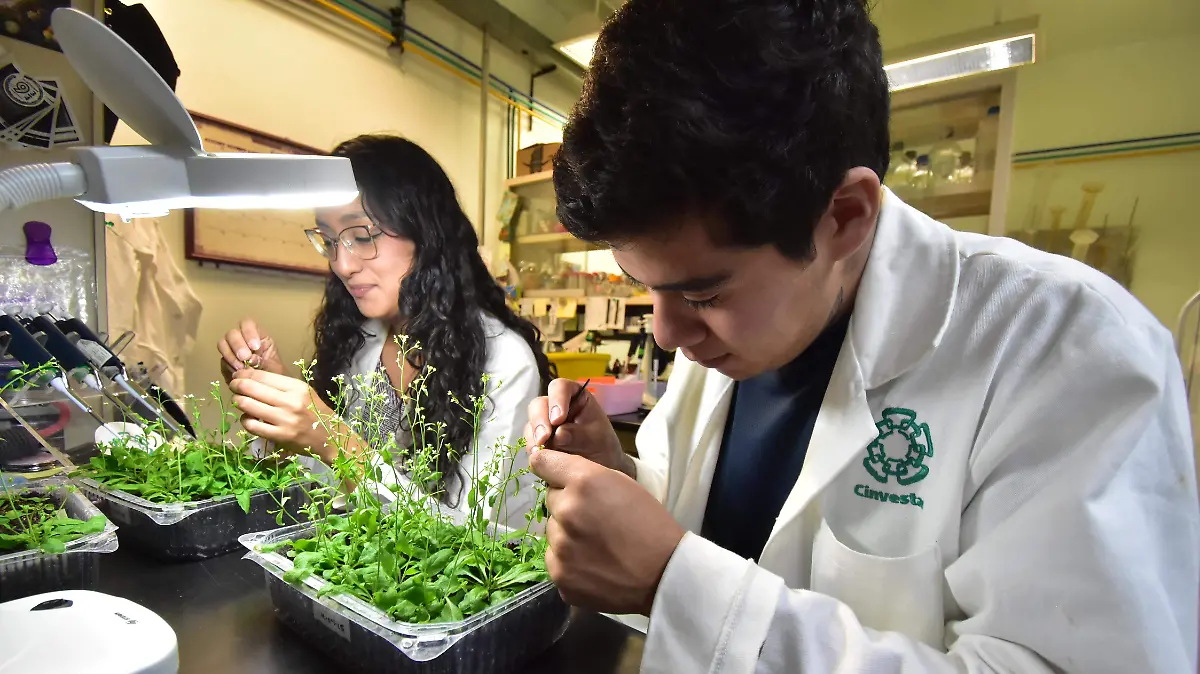 CIVESTAV .- RICARDO SANCHEZ.- EL SOL DE IRAPUATO (1)