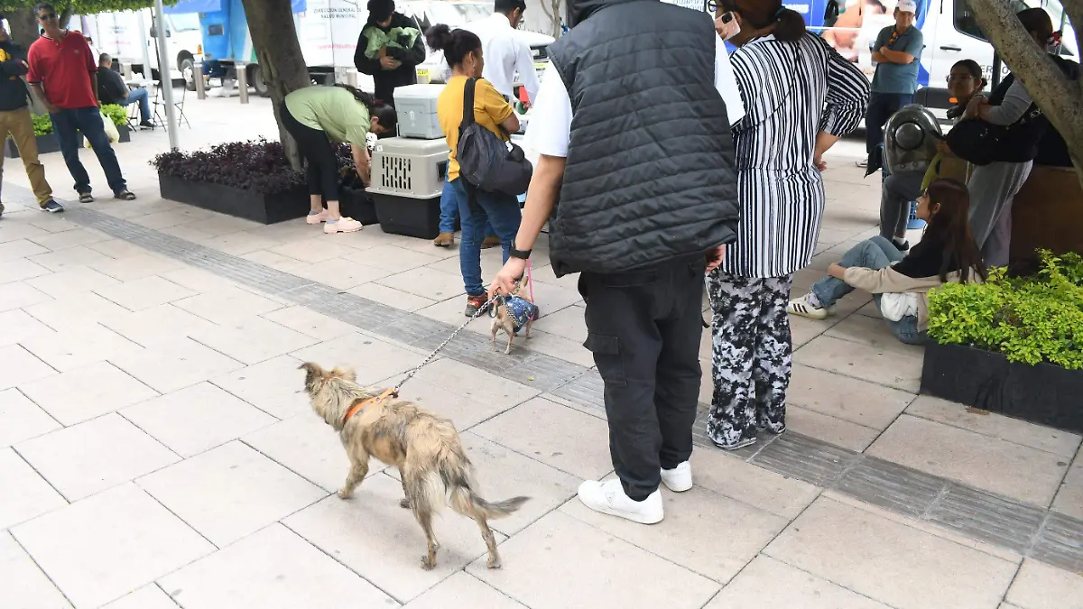 Sera-convocatoria-abierta-pero-con-cupo-limitado