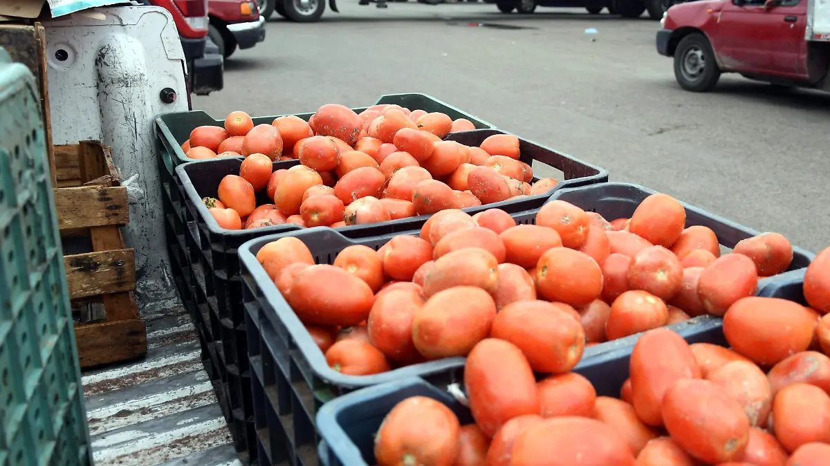 Productores y comerciantes de jitomate