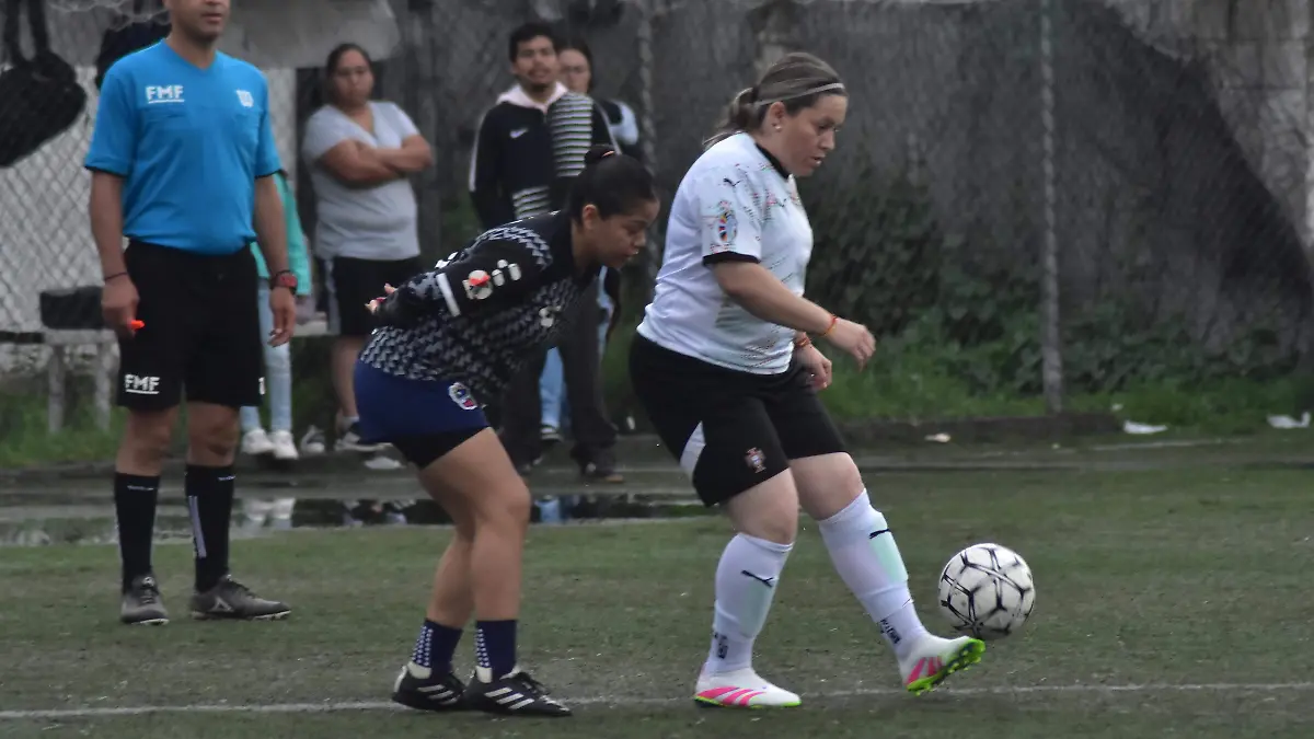 FEMENIL3