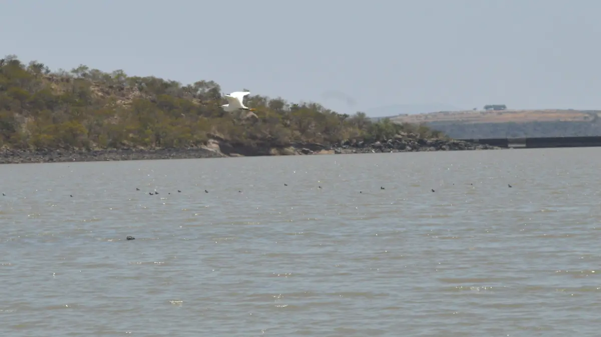 Las presas de Irapuato fuera de preligro, Jesus Gutierrez El Sol de Irapuato  (1)