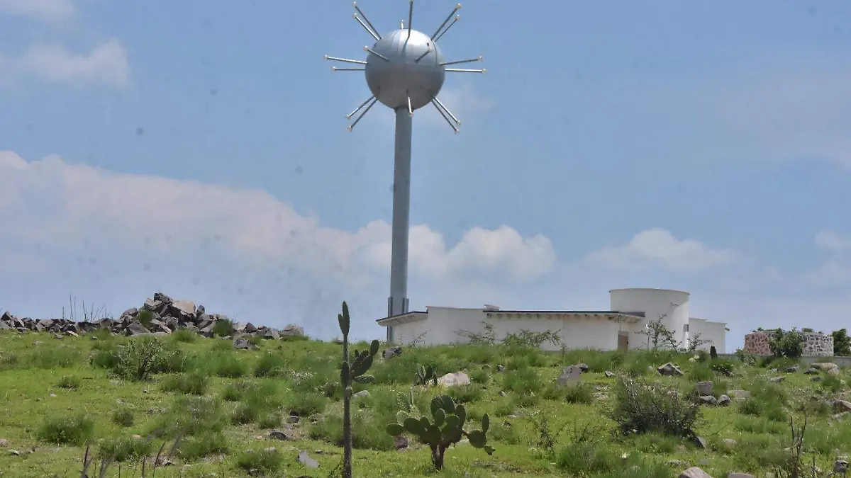 Animales-silvestres-en-Irapuato-se-encuentran-en-los-alrededores