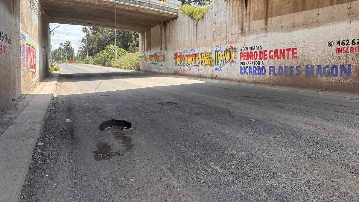 Baches-en-la-carretera-Irapuato-Pueblo-Nuevo