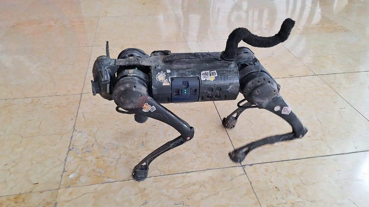 Gato-robot