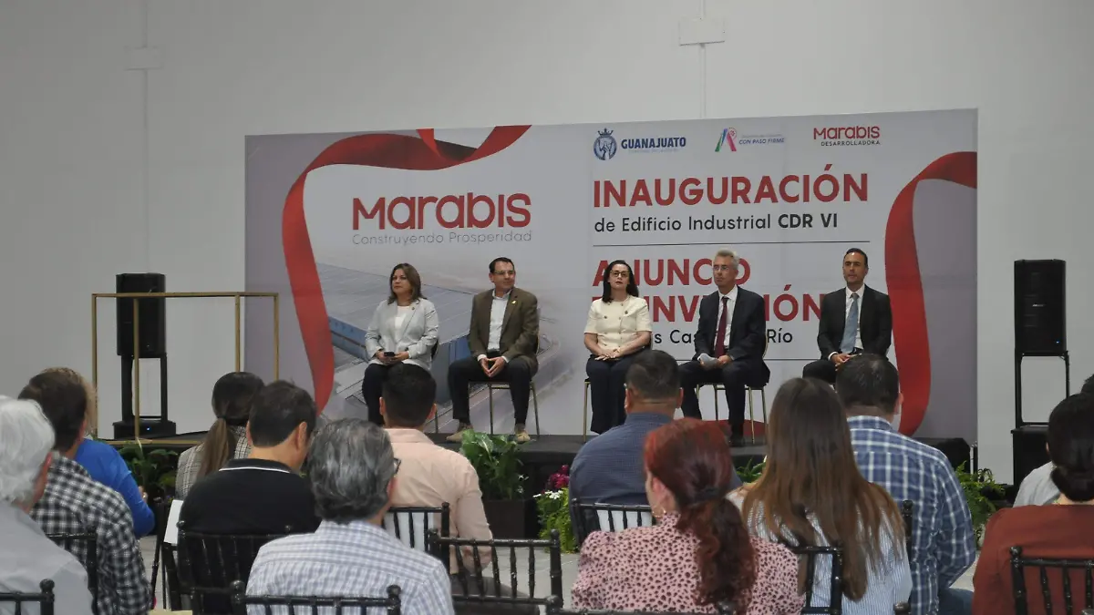 David-Pascual-Alemany