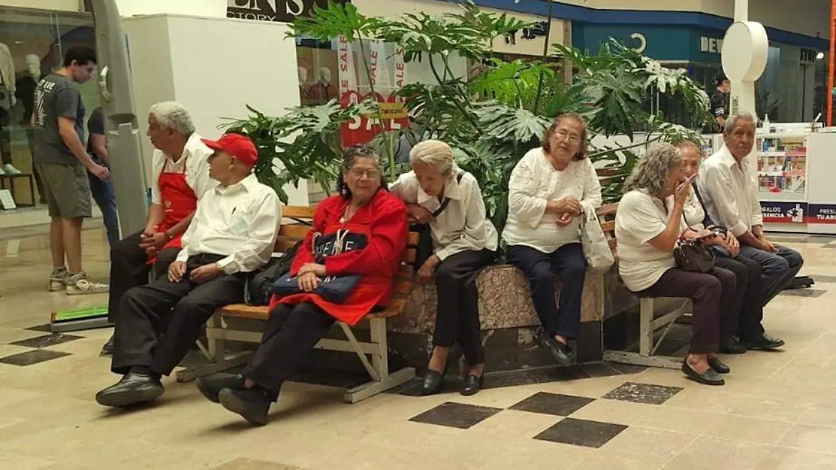 Adultos Mayores INAPAM (1)