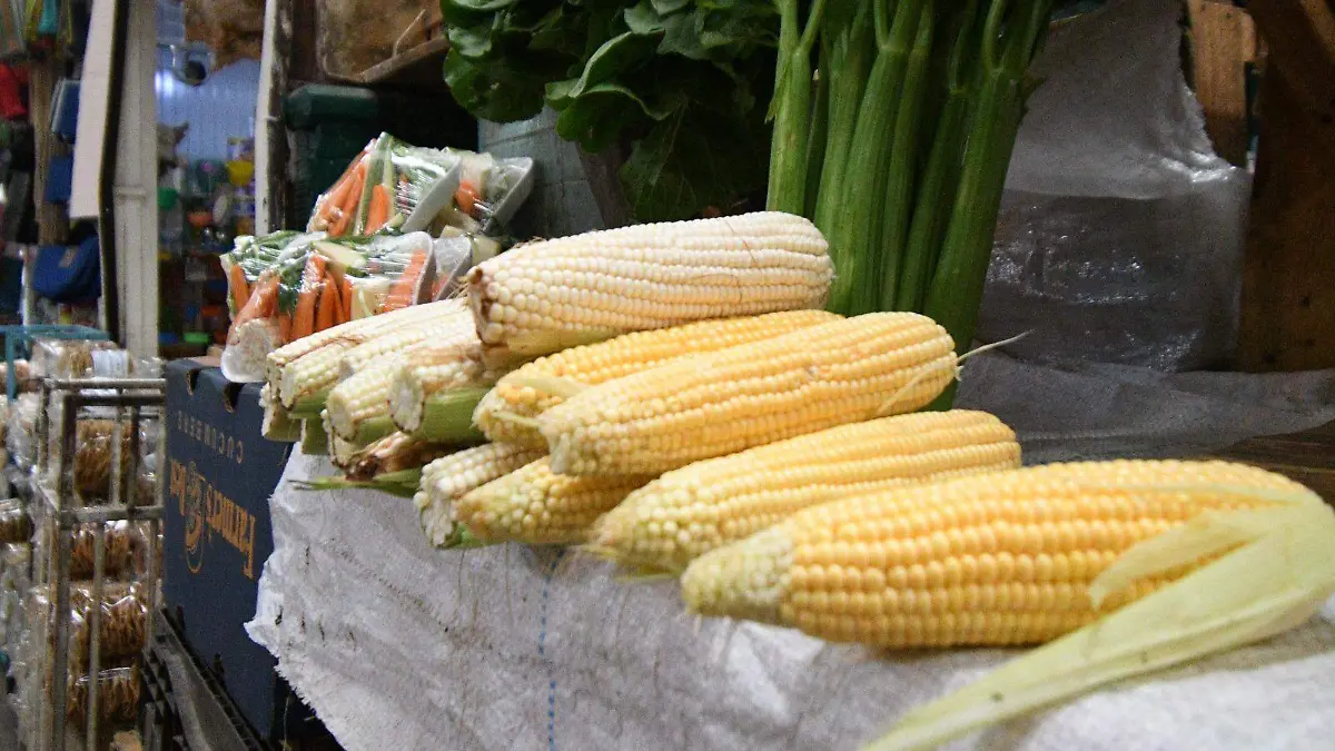 Seguro catastrófico