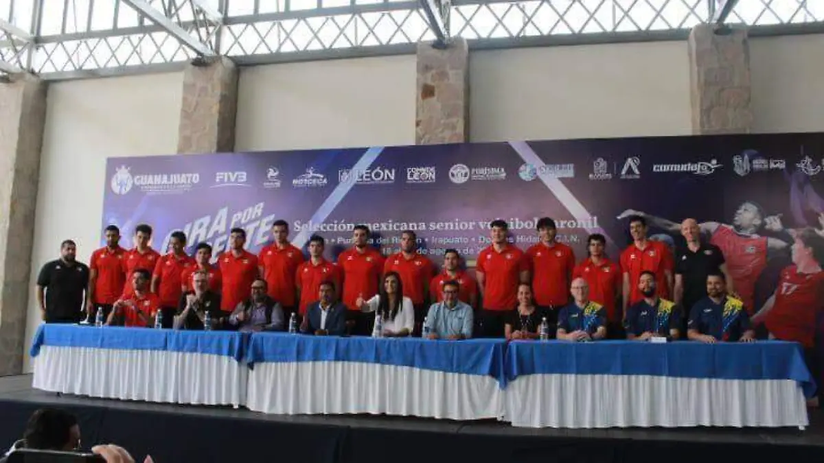 voleibol