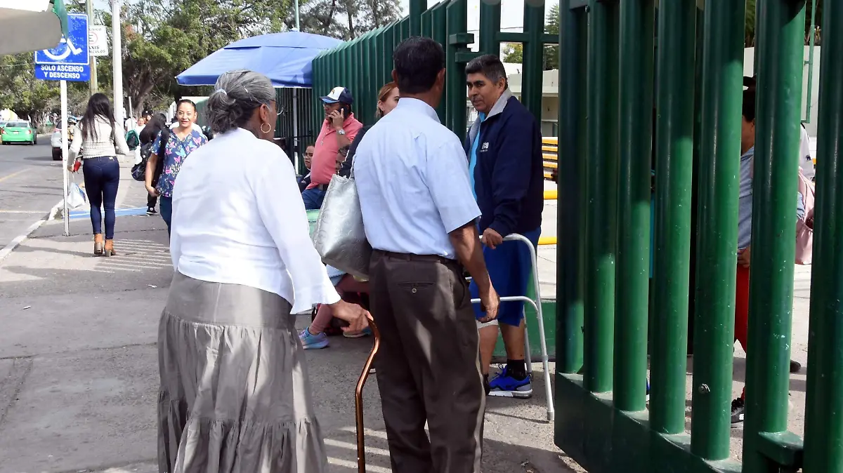 Festival del Adulto Mayor