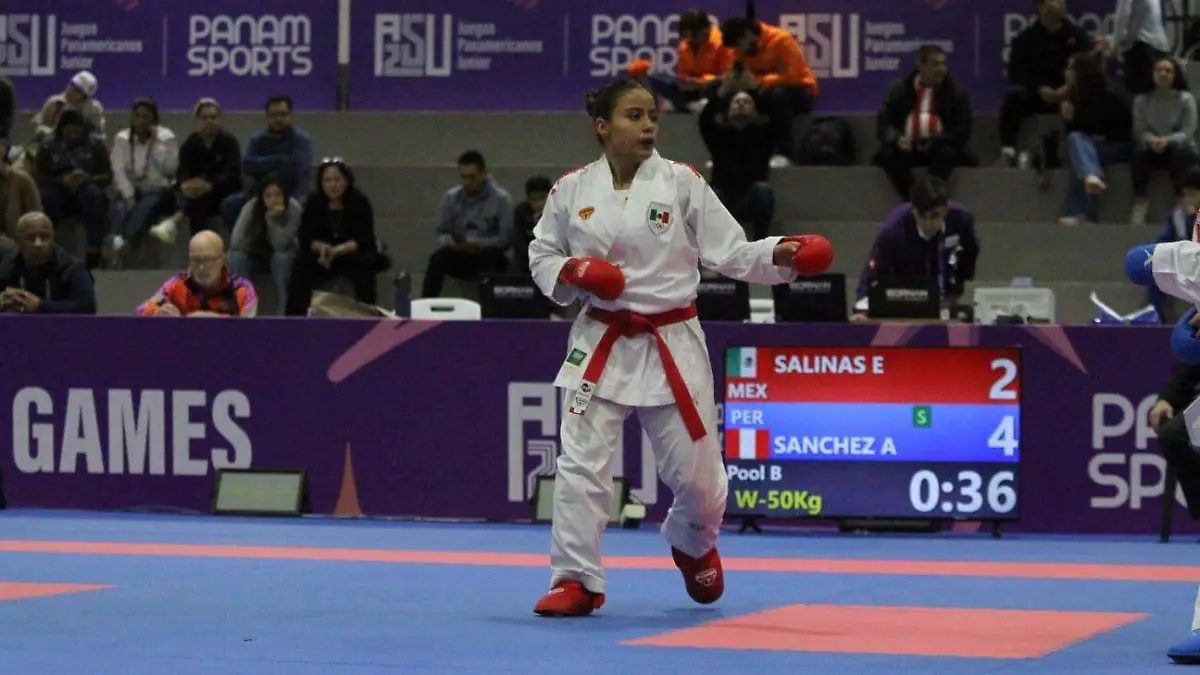 karate1