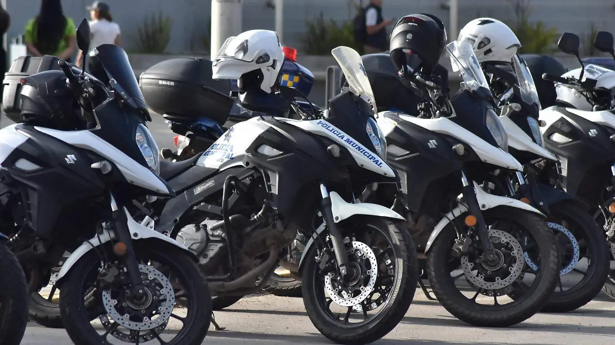 El-Congreso-del-Estado