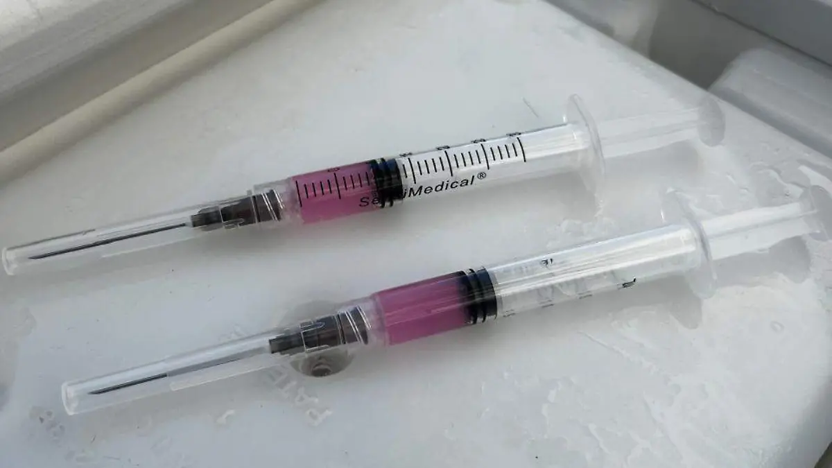 Vacunación contra la rabia en Guanajuato