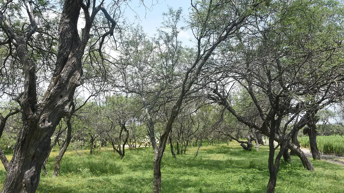 Comunidad San Agustín de los Tordos