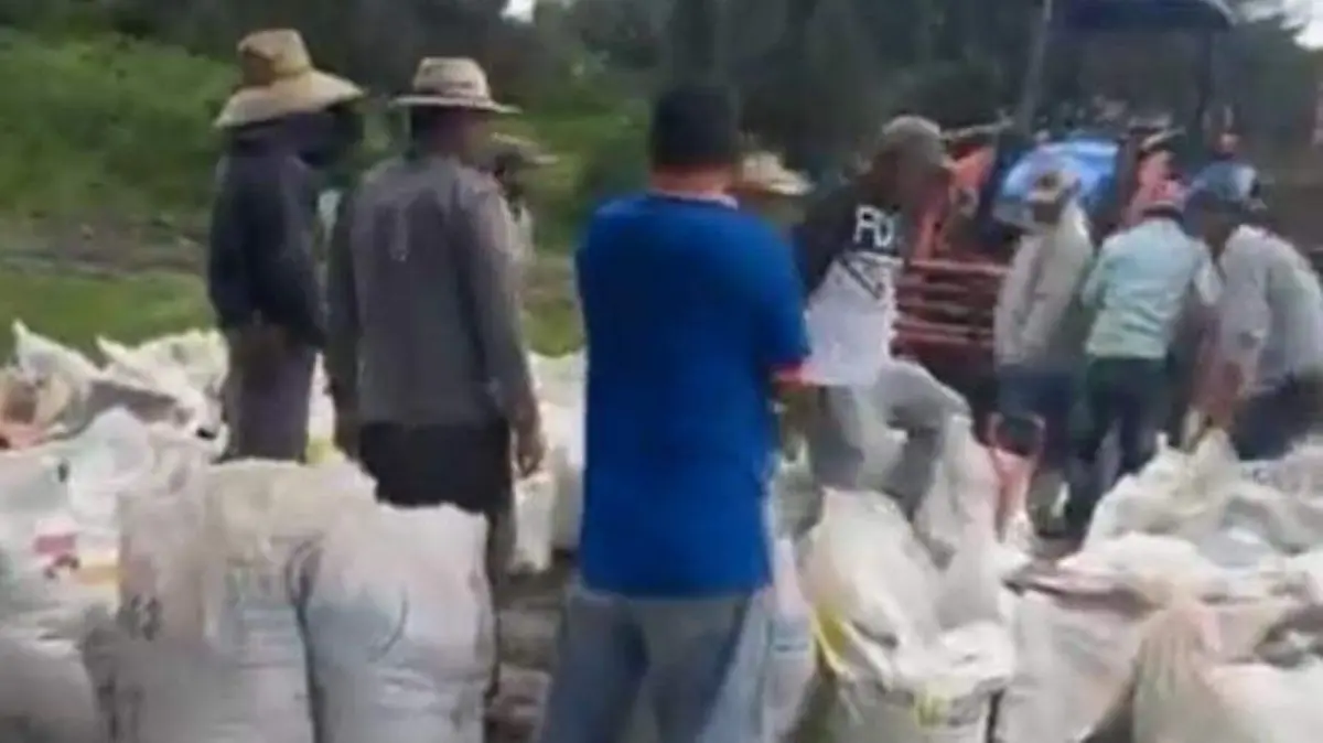 Cultivos-afectados-por-lluvias