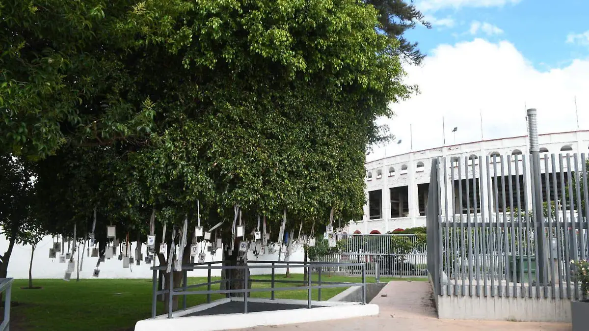 Árbol de la memoria
