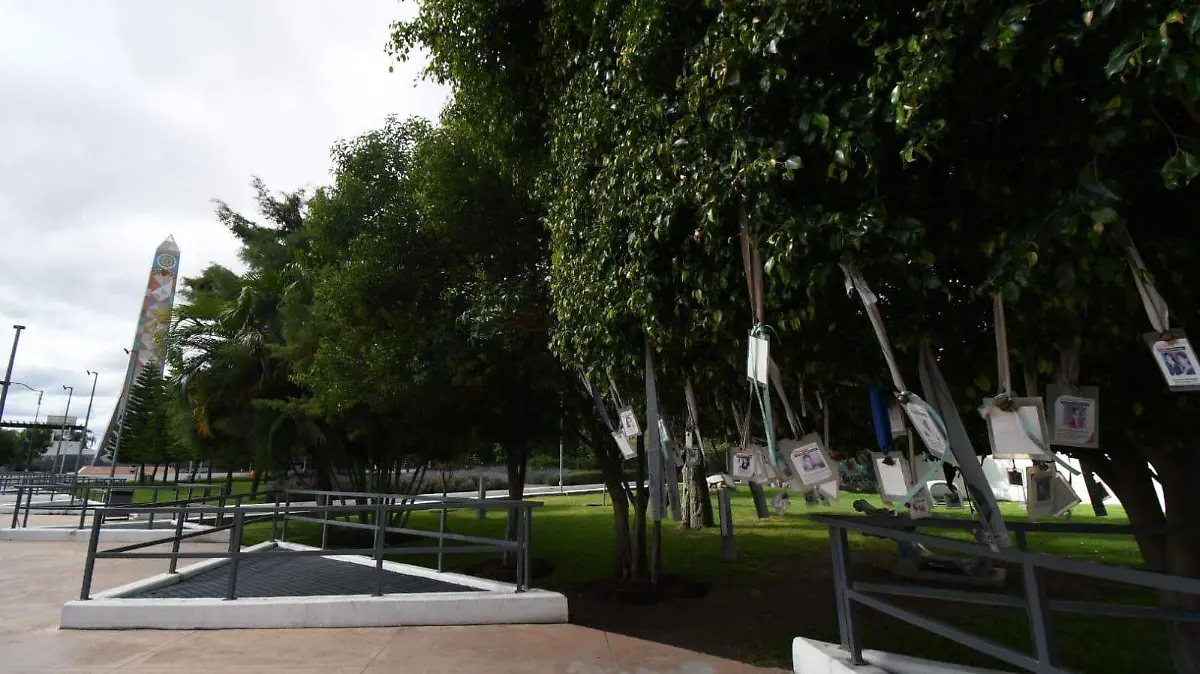 Árbol de la memoria