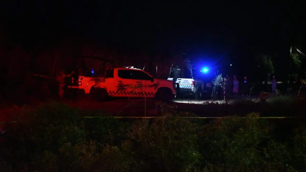 Seguridad en Irapuato