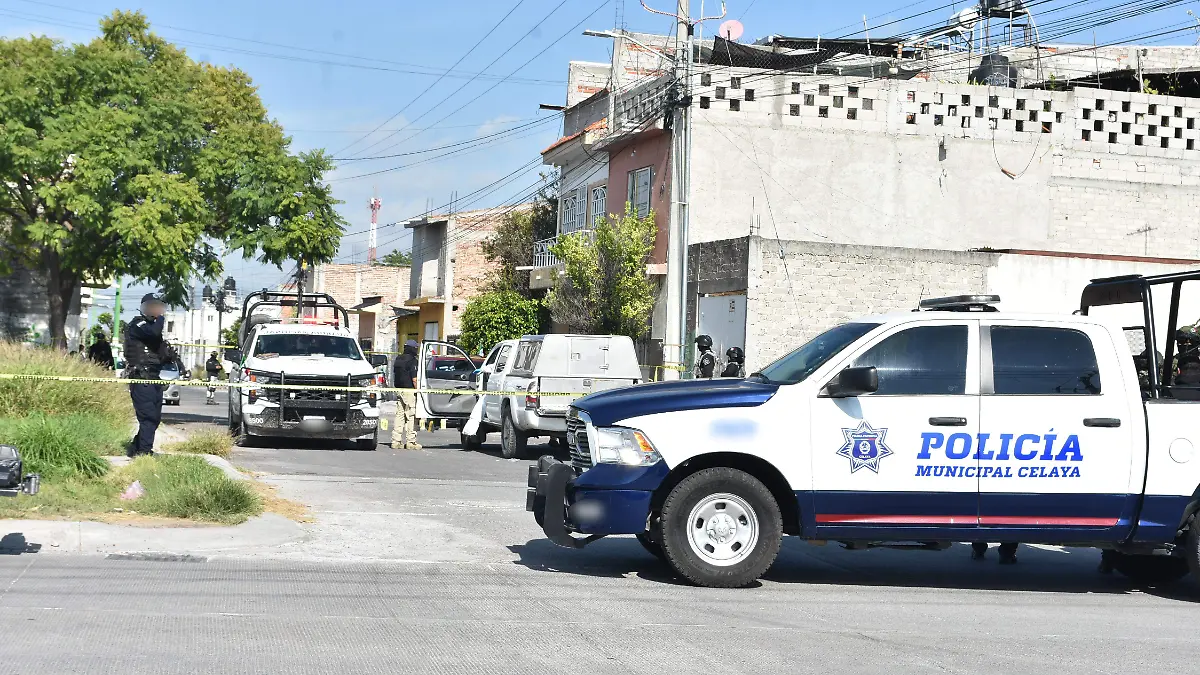 seguimiento celaya (2)